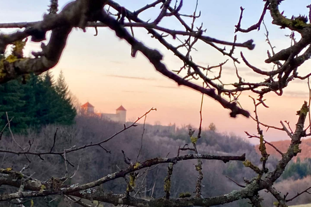 550782601 1204376581734136 7879679755934566058 o.jpg